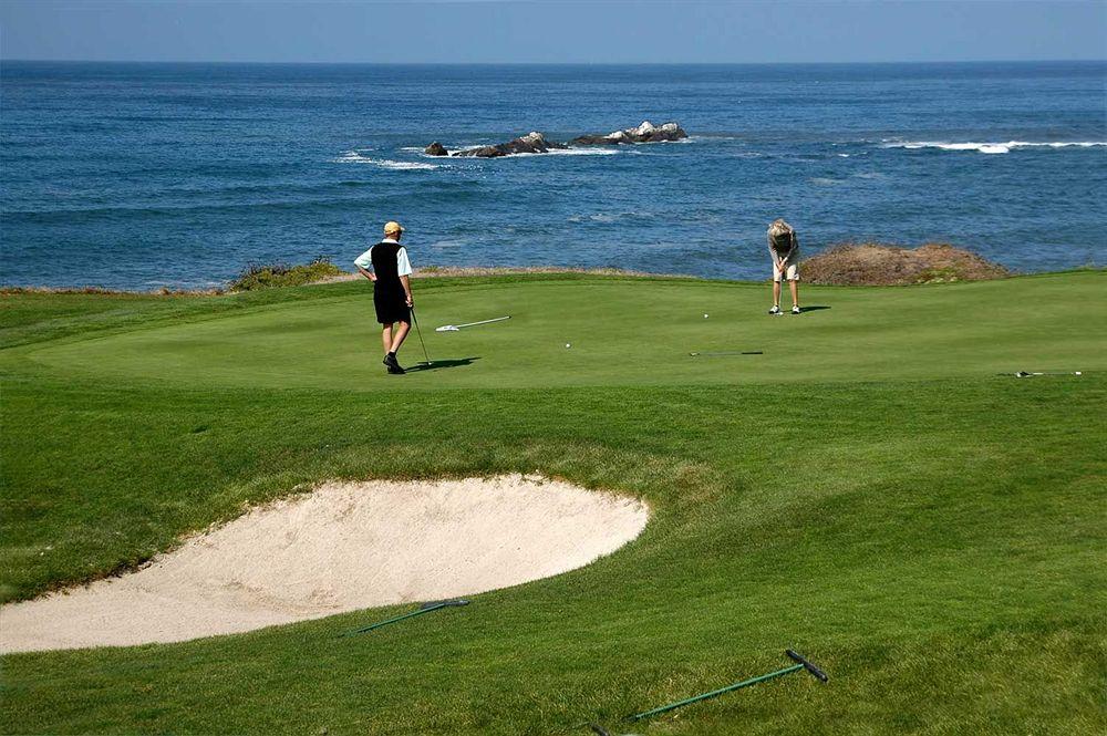 فندق Enjoy كوكيمبو المظهر الخارجي الصورة Golfers at the 7th green